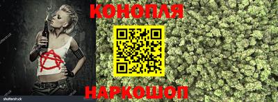 ALPHA PVP Моздок