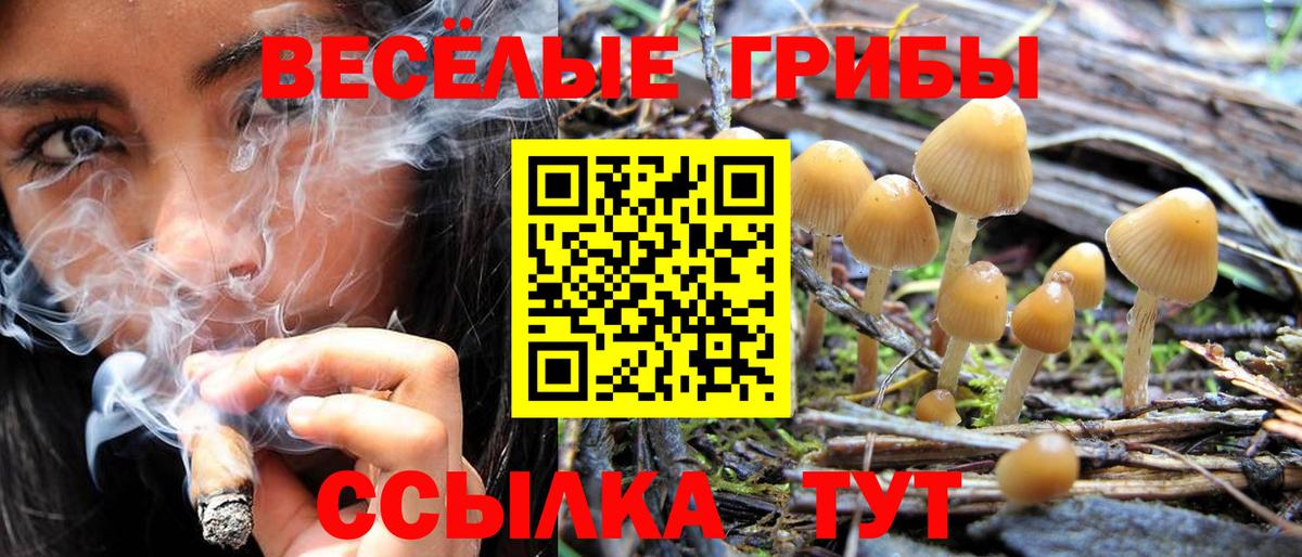 Псилоцибиновые грибы Psilocybe  Галлюциногенные грибы Psilocybine cubensis  закладки  Ухта  Вход с VPN 