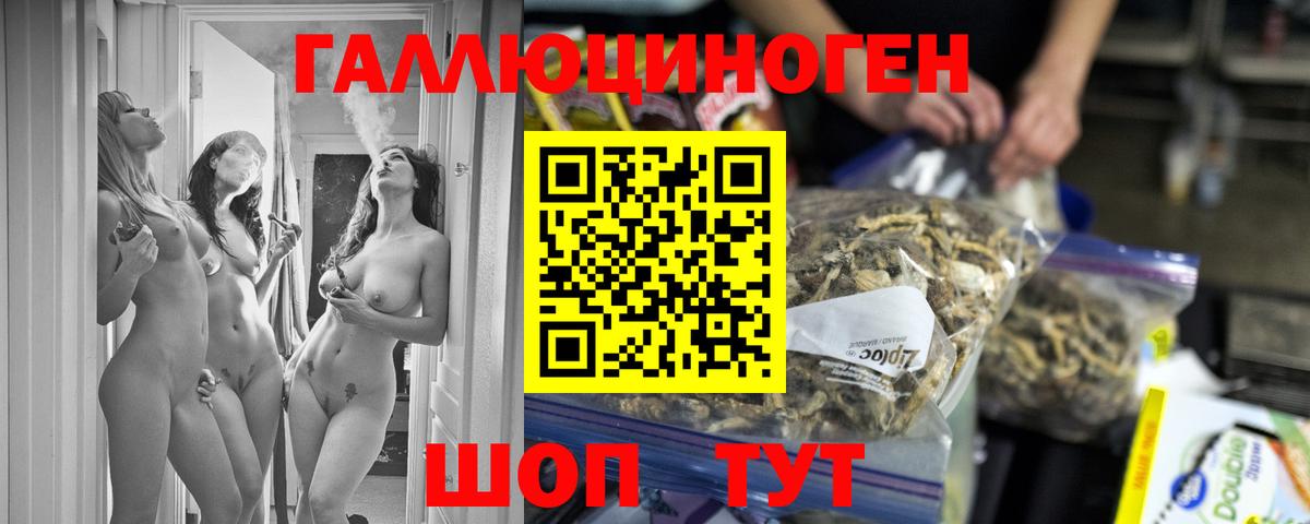 Псилоцибиновые грибы Psilocybine cubensis Ухта